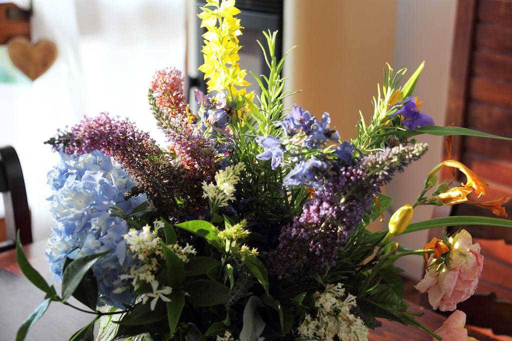 B&B Dei Laghi Magreglio ภายนอก รูปภาพ